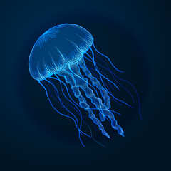 Obraz premium Ręcznie rysowane szkic na białym tle meduzy, zwierzęta morskie