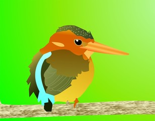 sulawesi dwarf kingfisher