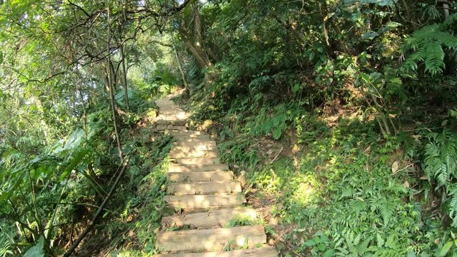 4K Long rock stairs on Xindian mountain in Taipei city, Taiwan. Pov of climbing the stairs. Climbs a natural rugged and densely forested mountains. National park trail-Dan