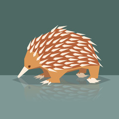 echidna.eth Ethereum Name Service (ENS and .eth domain) PFP