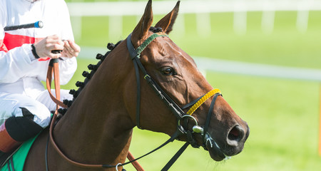 Close up on Jockey and racehorse
