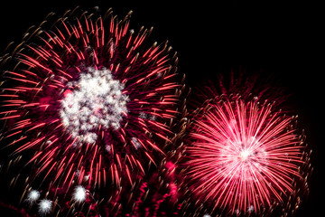 bright red and white fireworks light up the night sky