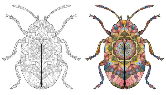 Zentangle stylized beetle. Hand drawn decorative vector illustration