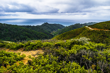 Big Sur, California