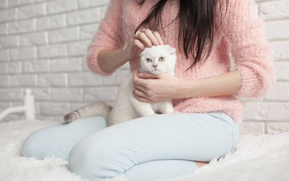 Pets Care.Young woman holding cat home.Cute cat in woman hands.Animal Love.Cat lover.Friendship.