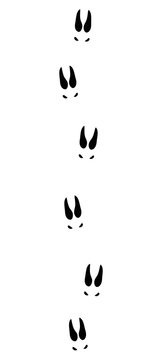 Chamois or goat tracks - isolated black icon vector illustration on white background.