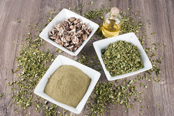 Seeds, leaves and moringa powder - Moringa oleifera