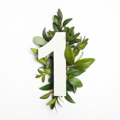 Number one shape with green leaves. Nature concept. Flat lay. Top view - obrazy, fototapety, plakaty