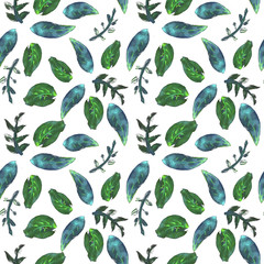 Watercolor floral pattern, delicate flowers. Seamless summer print for fabric, textile, wrapping, wallpaper, background. Vintage botanical set. Wedding, holiday, birthday. Bright botanical colllection