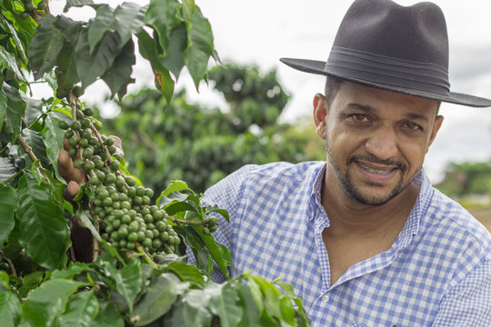 Farmer With Hat, Smiling In Cultivated Coffee Field Plantation. Concept Image.