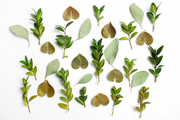 group of green leaf background. Flat lay