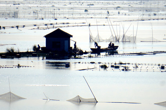  Dongting Lake Scenery.