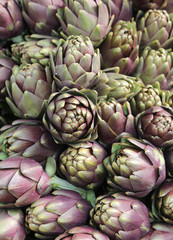 Fototapeta premium background of many ripe artichokes