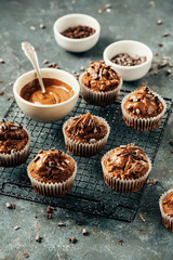 Chocolate Muffin with Chocolate Chips