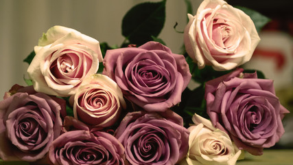 Bouquet of pink and lilac roses, blured background