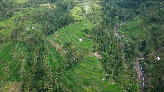 Aerial video above rice terraces