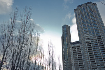 ciudad paisaje puerto