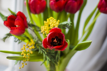 Naklejka premium A nice bunch of red tulips and yellow mimose are in vase