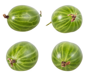 Gooseberry isolated on white background