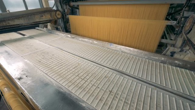 Conveyor belt is moving away a row of fresh spaghetti which is getting put on it. Spaghetti production line.