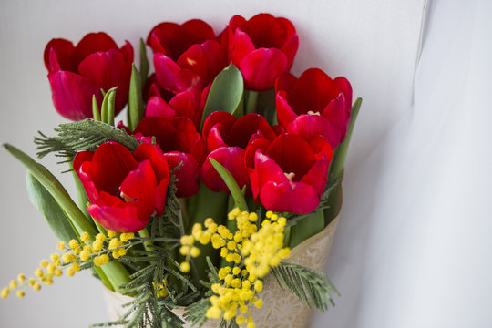 A magnificent bunch of red tulips and yellow mimose are in vase