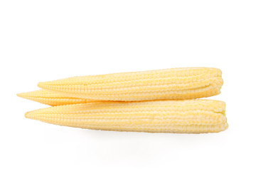 baby corn isolated on white background