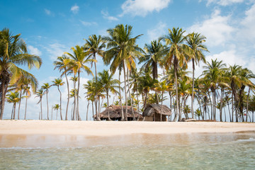 Beach hut, palm trees  on small island 