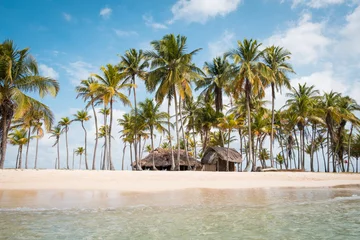 Foto op Plexiglas Tropisch strand Strandhut, palmbomen op klein eiland