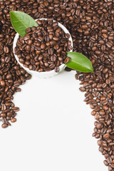 coffee beans isolated on white background with room for copy