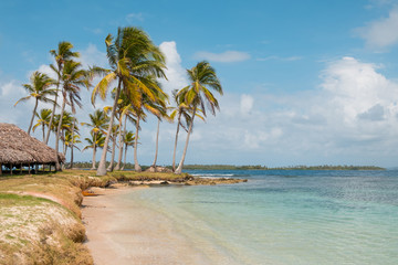 Fototapeta na wymiar beach hut on caribbean island - Coast with palm trees and bungalow