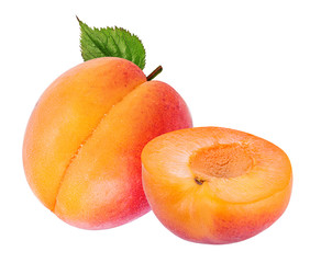 Fototapeta na wymiar apricot isolated on white background