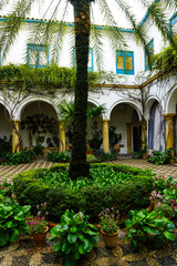 Fototapeta premium patio con jardín y plantas verdes