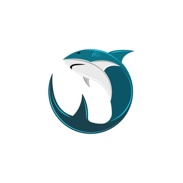 Shark logo of the round form, the abstract silhouette of a ocean animal of a predator, a fish icon