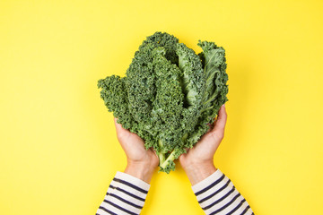 Woman hand holding a bunch of kale leaves over yellow background - obrazy, fototapety, plakaty