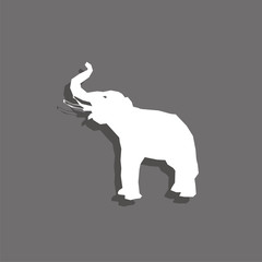 Elephant. White vector icon with shadow on gray background.