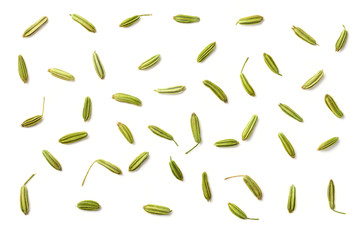 dried fennel seeds isolated on white - obrazy, fototapety, plakaty