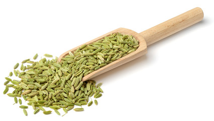 green fennel seeds in the wooden scoop, isolated on white