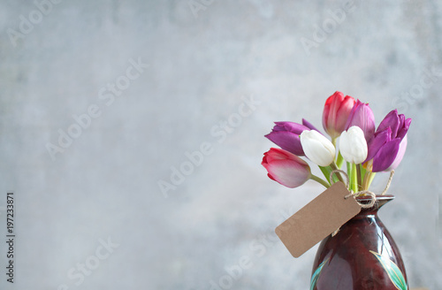 Gift tulip flowers