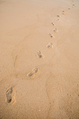 Fototapeta na wymiar trace steps in sand on beach