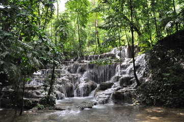 Jungle near Palenque, Yucatán, Mexico.