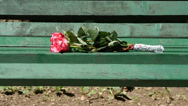 Bunch of Red Roses Abandoned on a Bench in Park After a Love Relation Break
