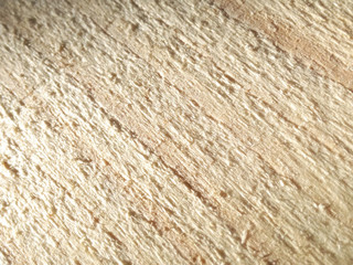 Texture of sawed wood natural natural daylight of the sun