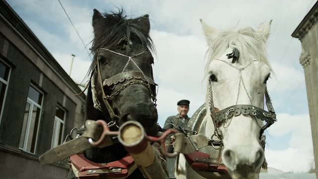Riding vintage horse carriage on a cobble road . Horse-drawn Carriages runnig. Shot on RED EPIC DRAGON Cinema Camera.