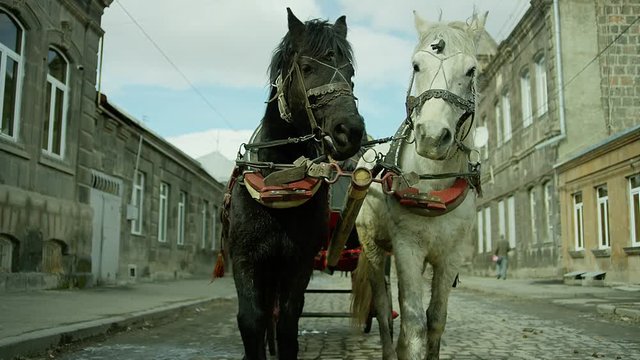Riding vintage horse carriage on a cobble road . Horse-drawn Carriages runnig. Shot on RED EPIC DRAGON Cinema Camera.
