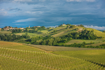 Fototapeta na wymiar Vineyards of Langhe, Piedmont, UNESCO world heritage