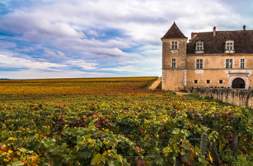 Chateau with vineyards in the autumn season, Burgundy, France - obrazy, fototapety, plakaty