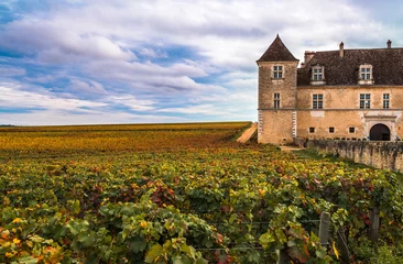 Fototapete Chateau with vineyards in the autumn season, Burgundy, France © javarman