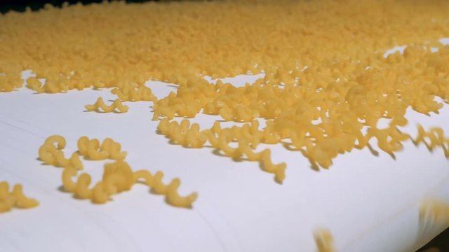 A pile of yellow spiral pieces of macaroni moving down the conveyor belt. Pasta, macaroni, noodle, spaghetti production line.
