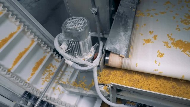 Pasta, macaroni, noodle, spaghetti production line. Macaroni are moving along transversal conveyor belts and then getting lifted in portions.