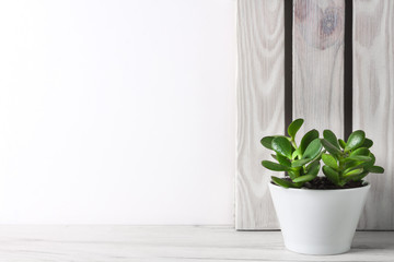 A desk against a white empty wall with a cactus in a ceramic pot